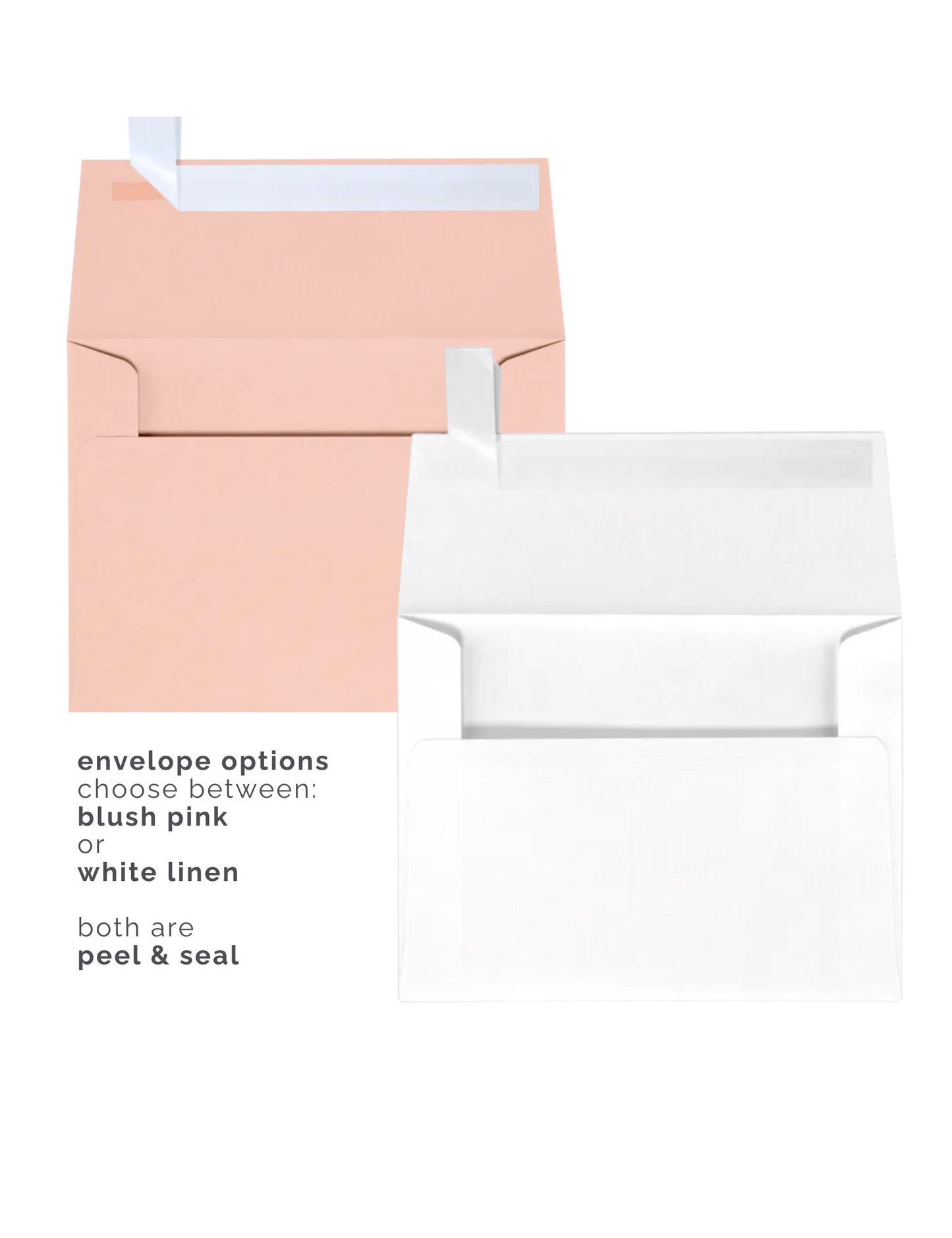 Thank You notecards, Macarons Set of 10